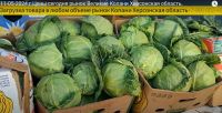 Капуста по 3 гривні та інші ціни на овочевому ринку у Великих Копанях: грабунок селян на ТОТ Херсонщини триває