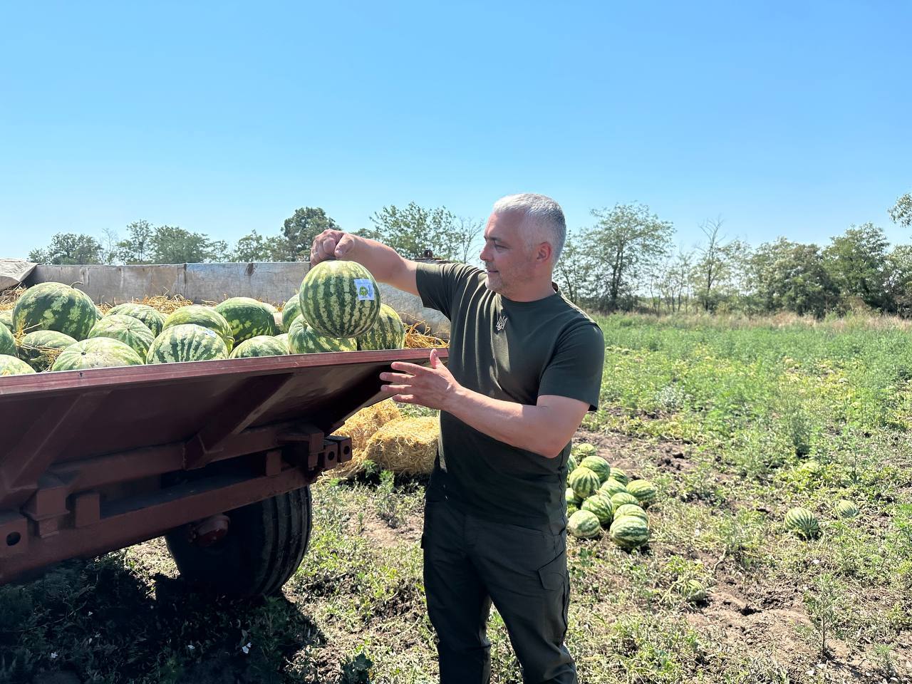 «Вистачить на всіх»: на Одещині зібрали перший врожай кавунів