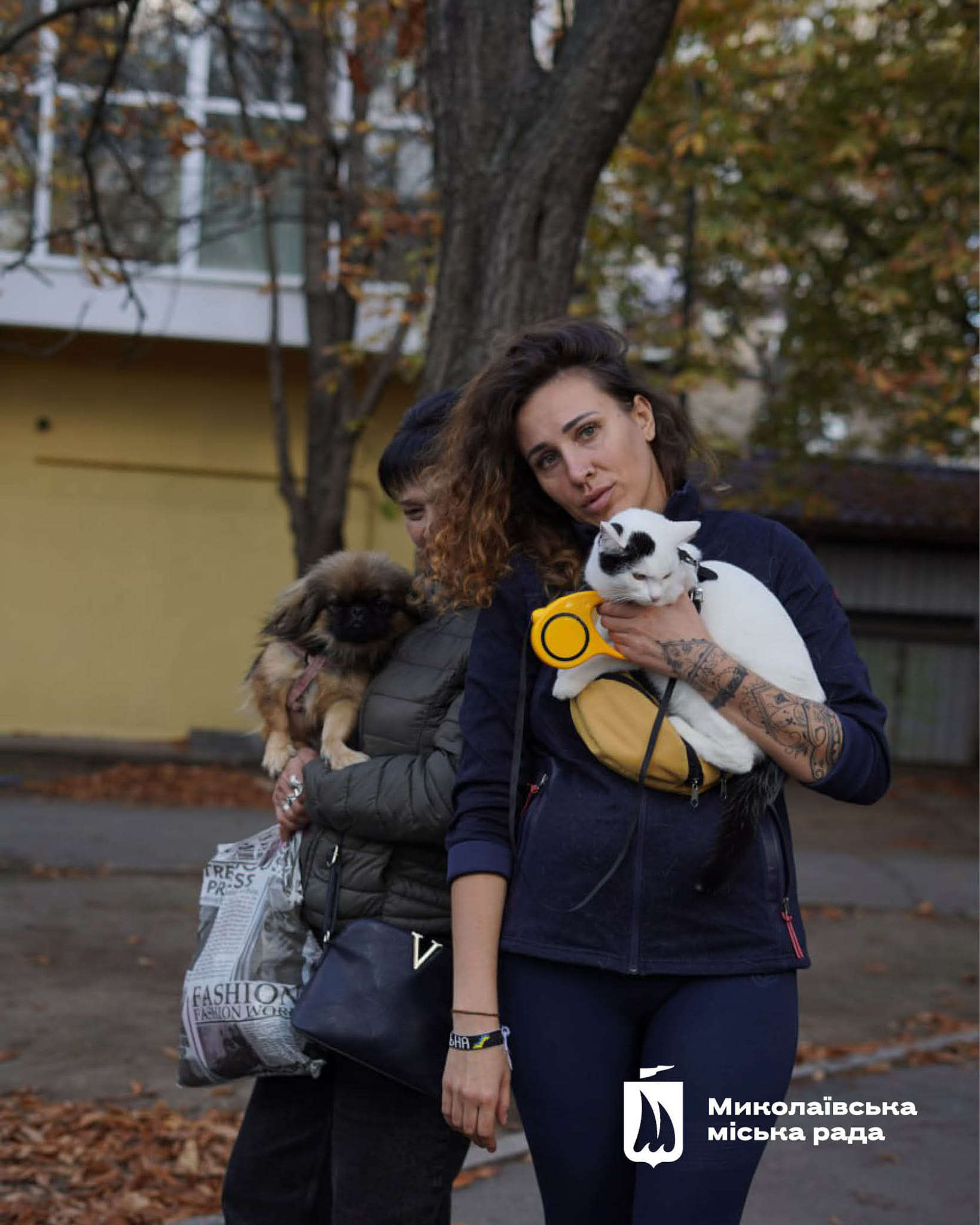 У Миколаєві ще 42 тварини перестали бути безпритульними (фото)