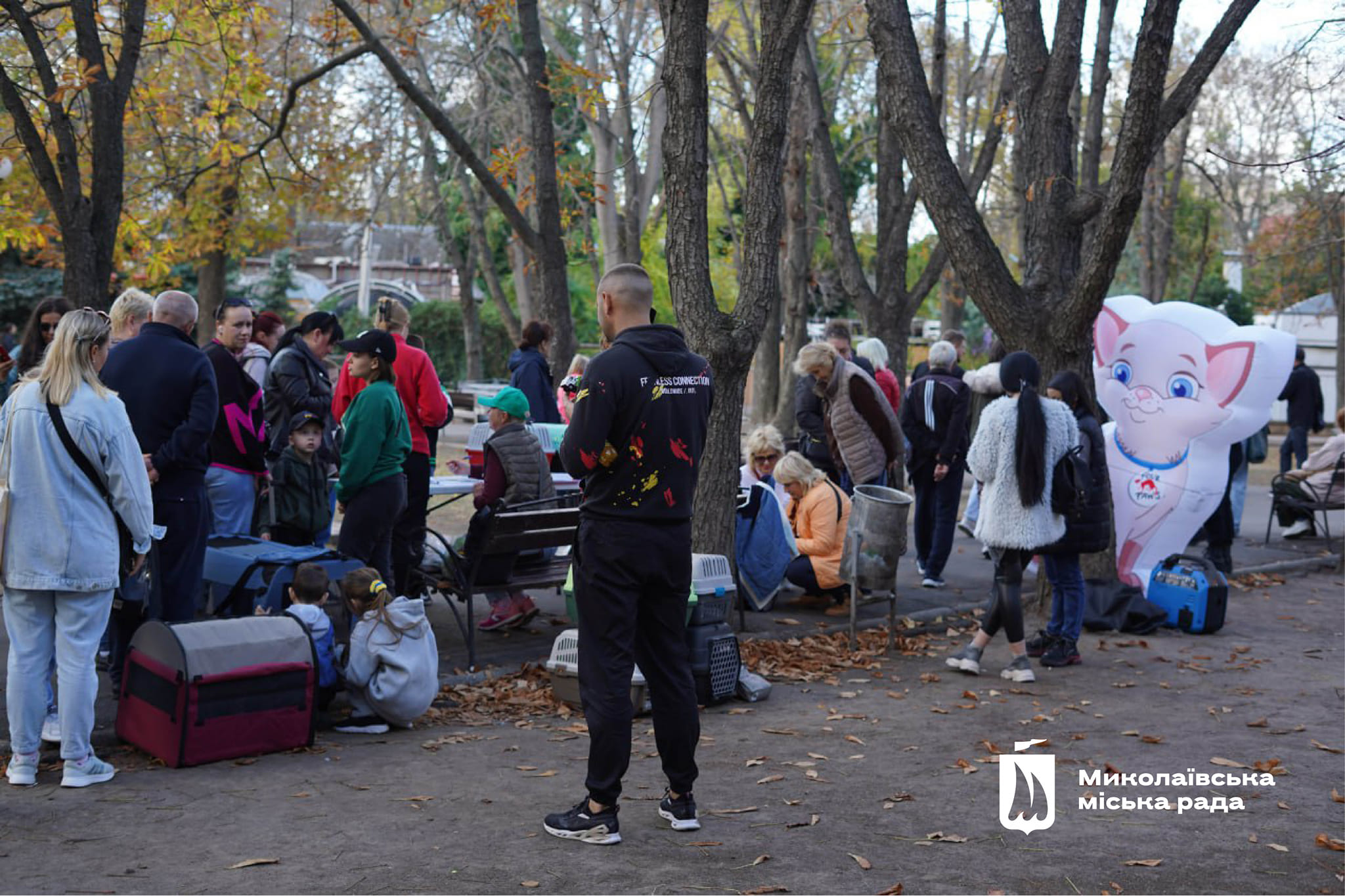 У Миколаєві ще 42 тварини перестали бути безпритульними (фото)