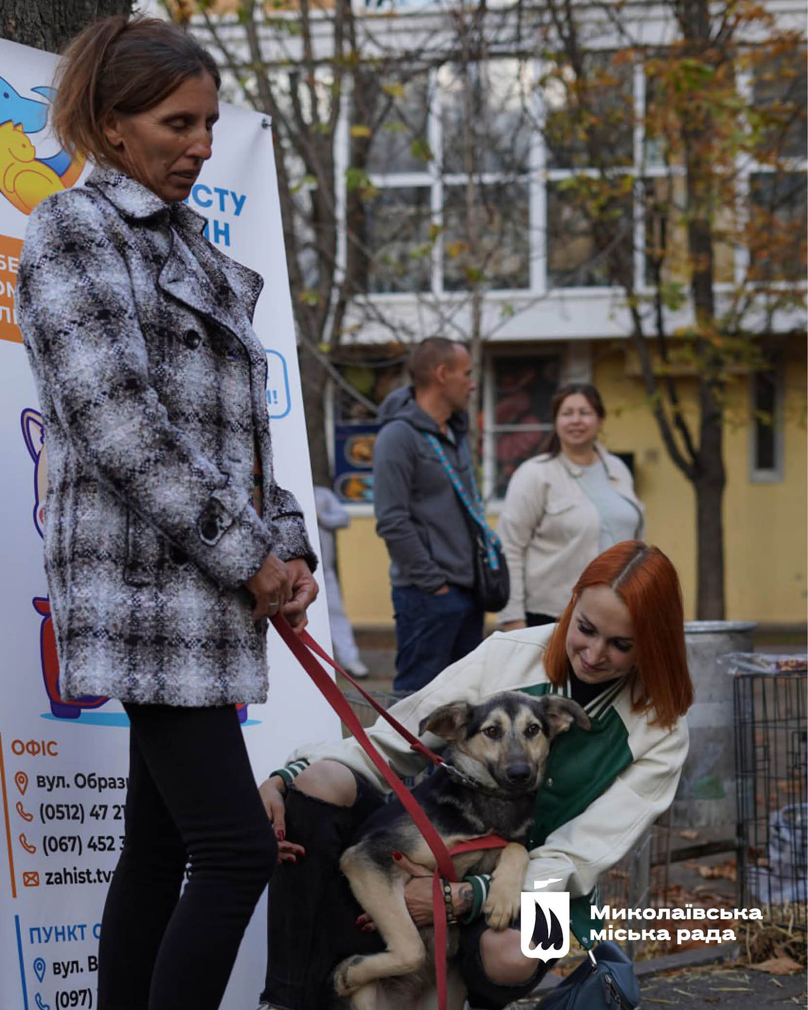 У Миколаєві ще 42 тварини перестали бути безпритульними (фото)