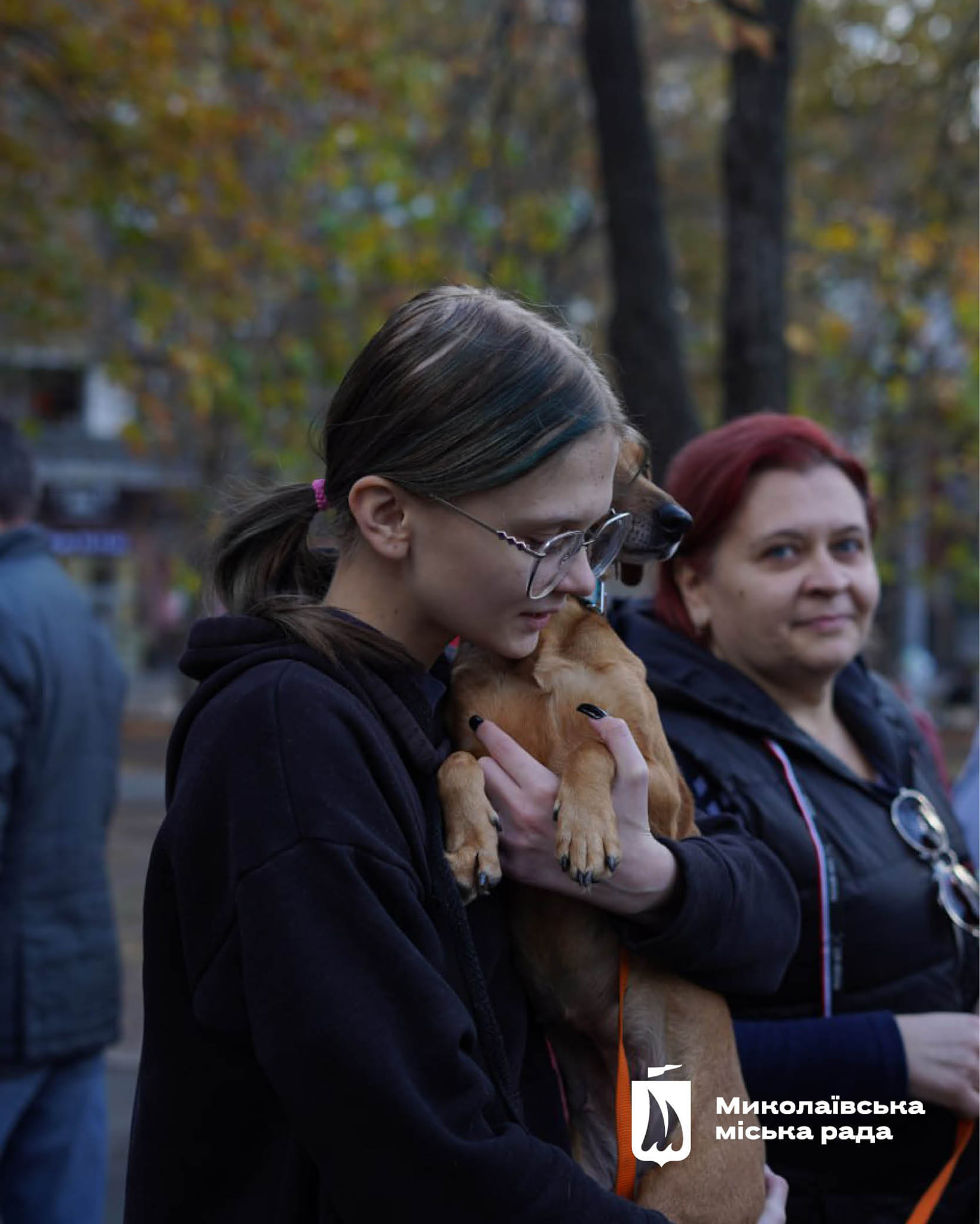 У Миколаєві ще 42 тварини перестали бути безпритульними (фото)