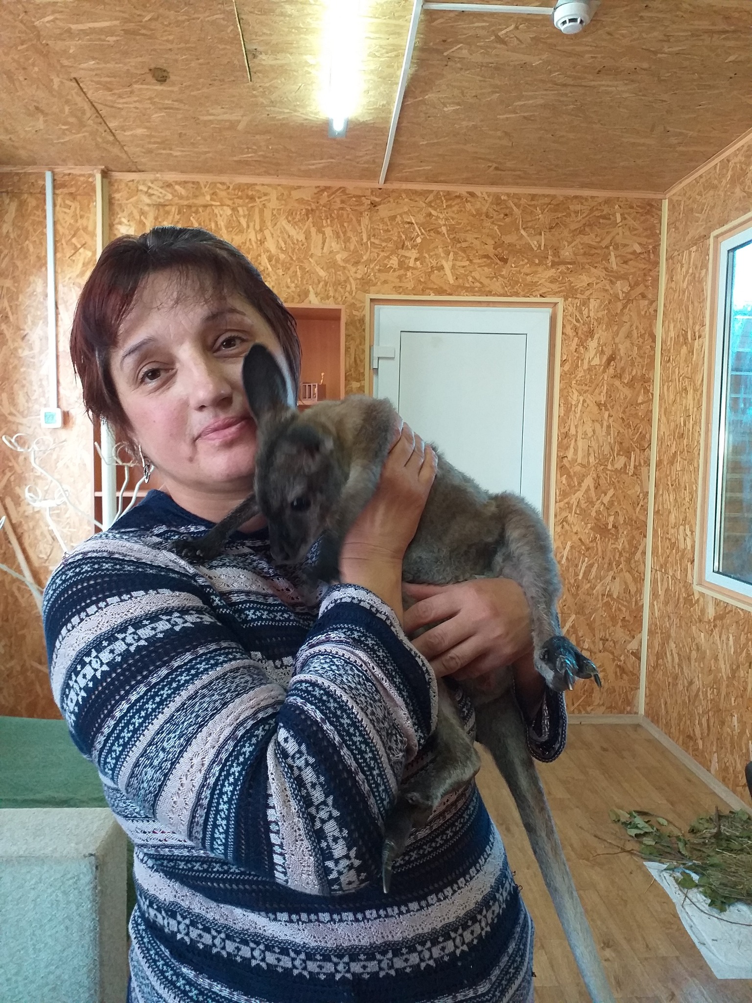У Миколаївському зоопарку врятували кенгуреня – щемлива історія збереженого життя (фото)