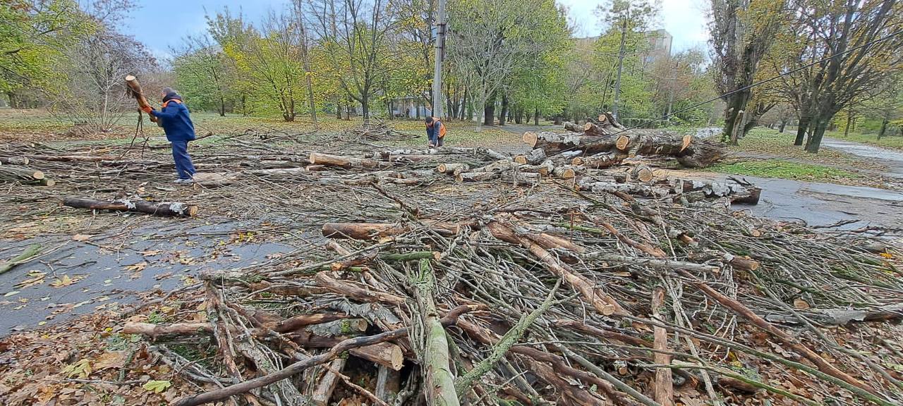 На півдні вирує негода: в Одесі та Херсоні – деревопад (фото)