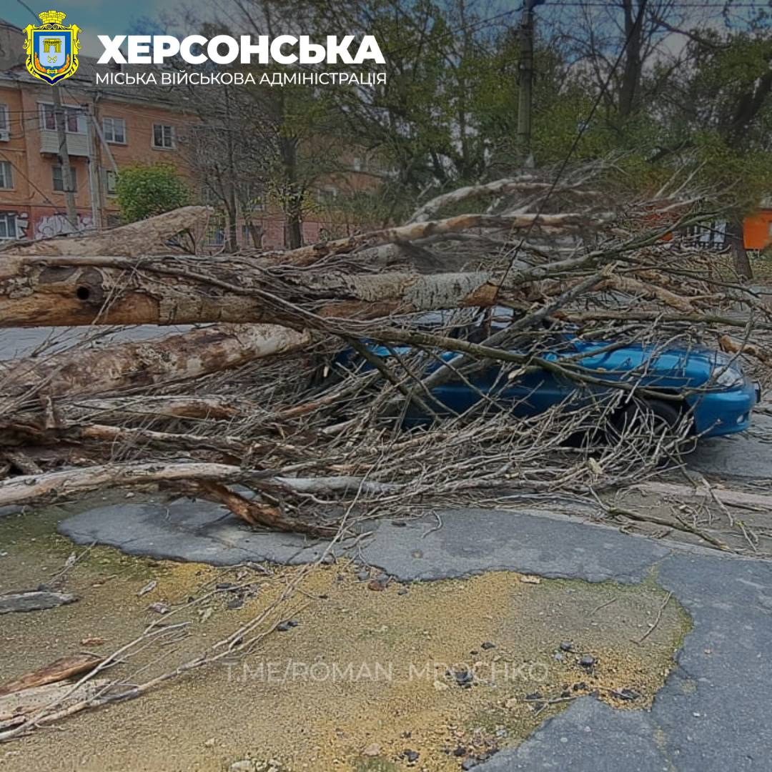 На півдні вирує негода: в Одесі та Херсоні – деревопад (фото)