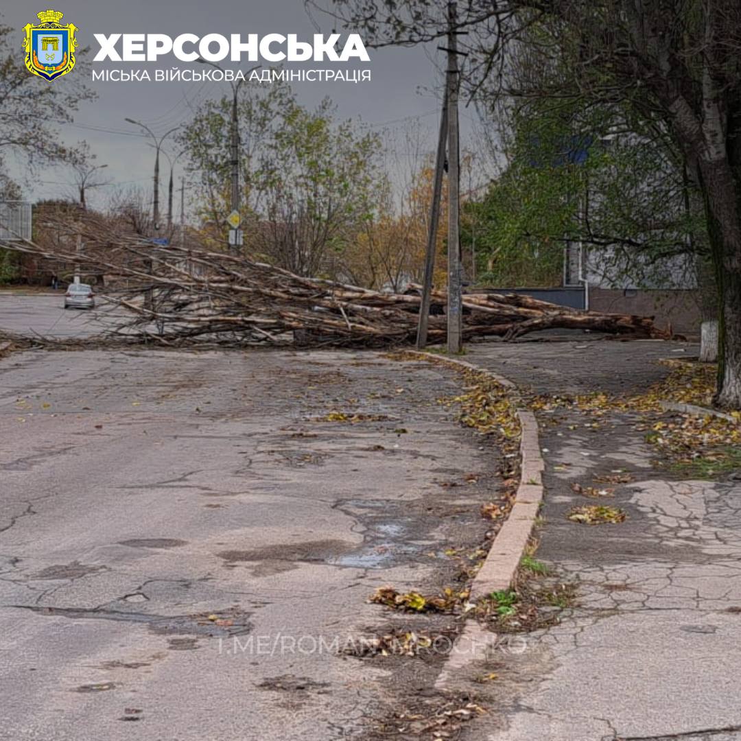 На півдні вирує негода: в Одесі та Херсоні – деревопад (фото)