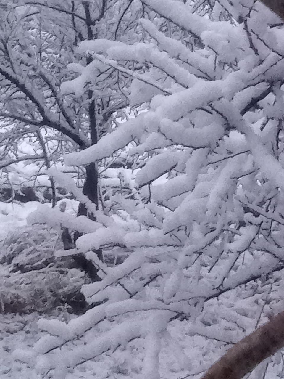 Херсонські синоптики попереджають про ожеледицю, дощ, сніг та перепад температур