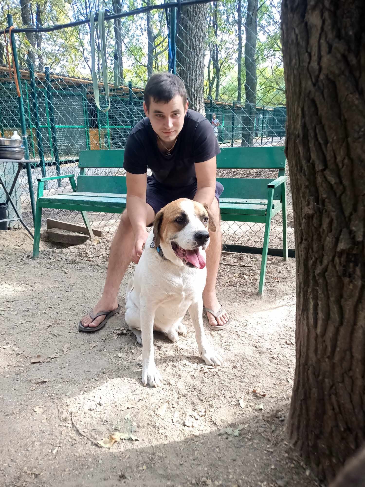 Щаслива історія Боніфація: пес, врятований після теракту на Каховській ГЕС, знайшов новий дім у Польщі