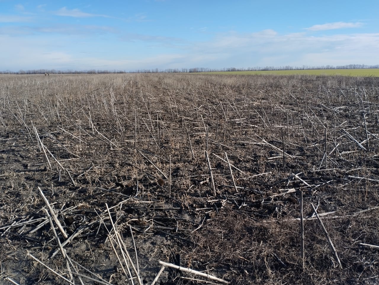 У Нововоронцовській громаді почалося розмінування сільгоспугідь