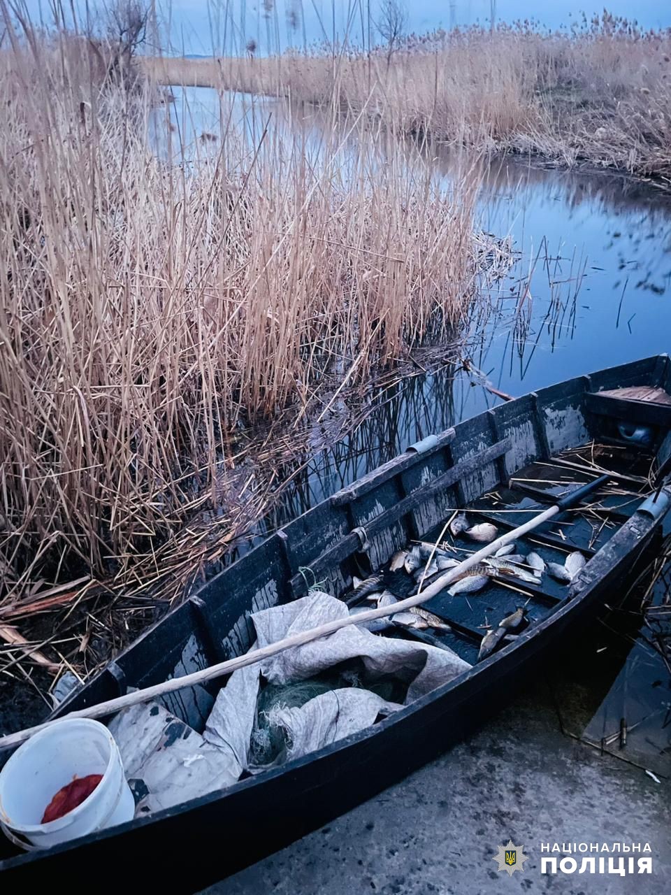 Нашкодили на пів мільйона: на Одещині затримали рибалок-браконьєрів