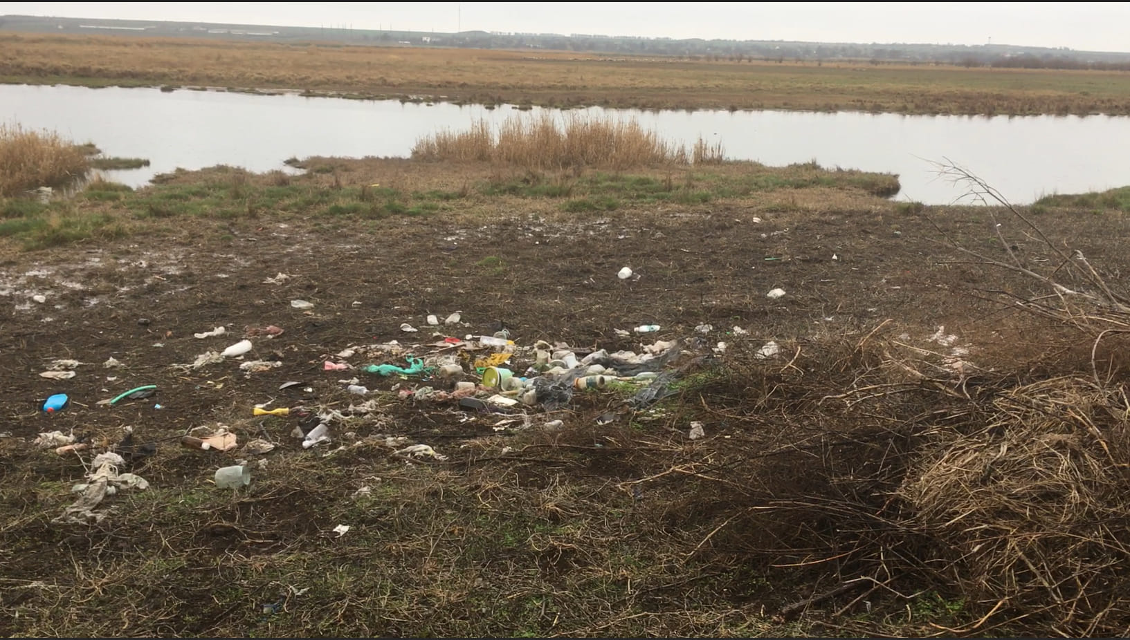 Нацпарк на Одещині тоне в смітті та відходах тваринництва: директорка звинувачує  очільників громад