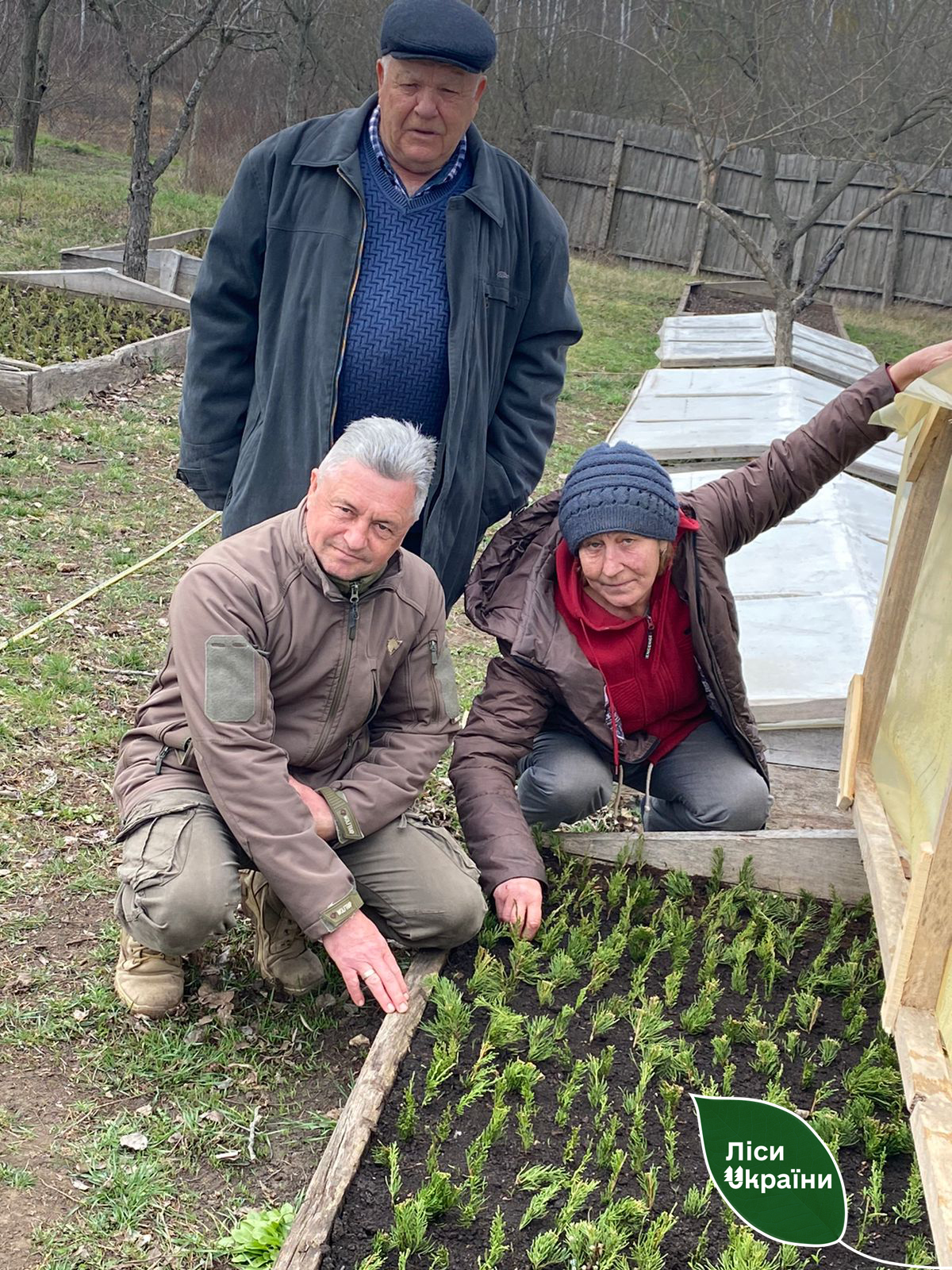 На Миколаївщині та Одещині лісівники разом з місцевими за день висадили 50 тисяч дерев