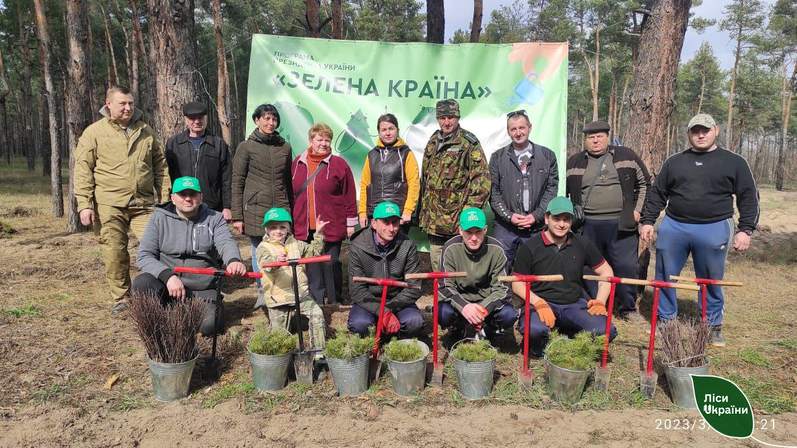 На Миколаївщині та Одещині лісівники разом з місцевими за день висадили 50 тисяч дерев