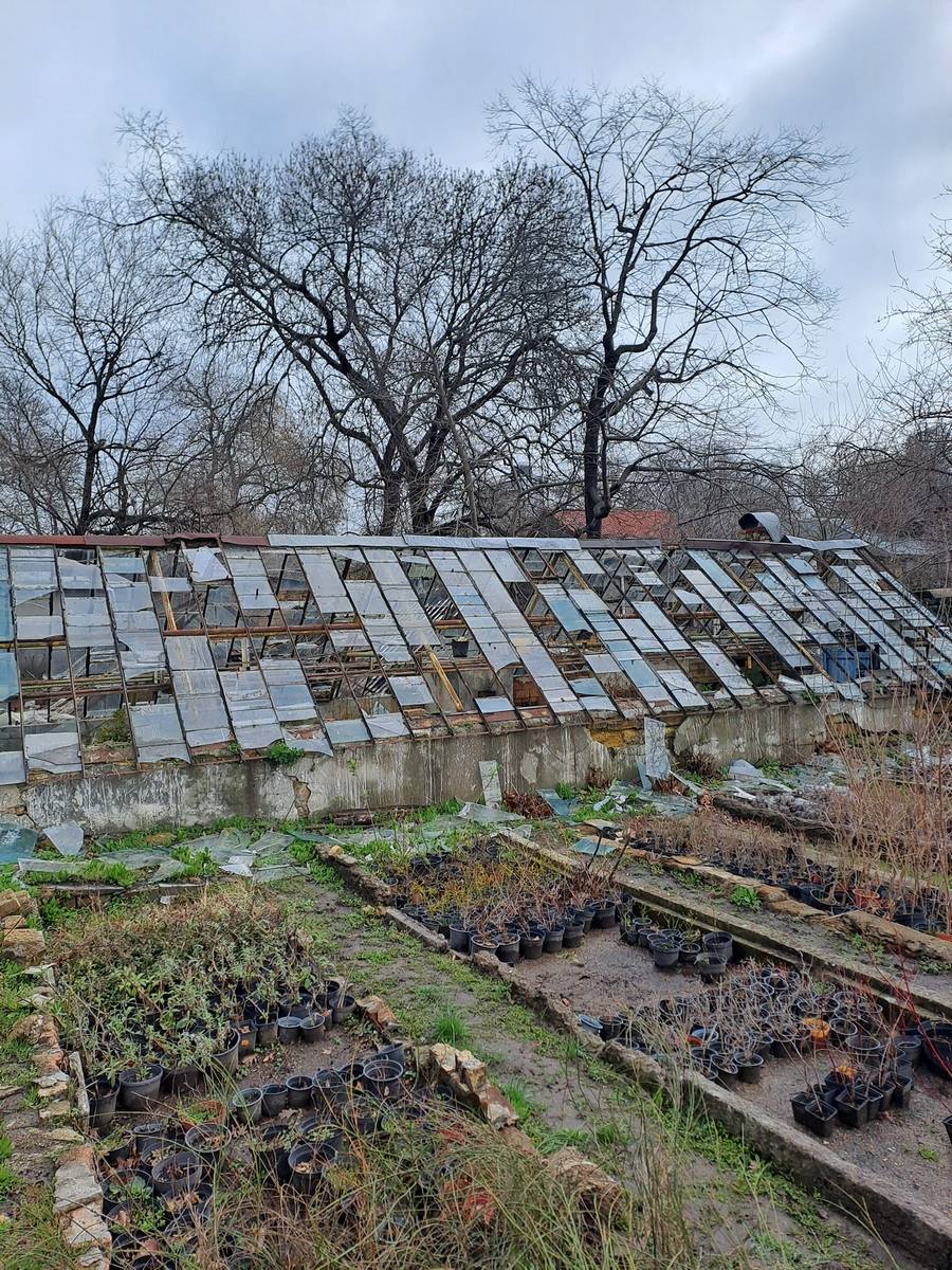 Дуже багато скла: жителів Одеси просять допомогти прибрати територію ботанічного саду