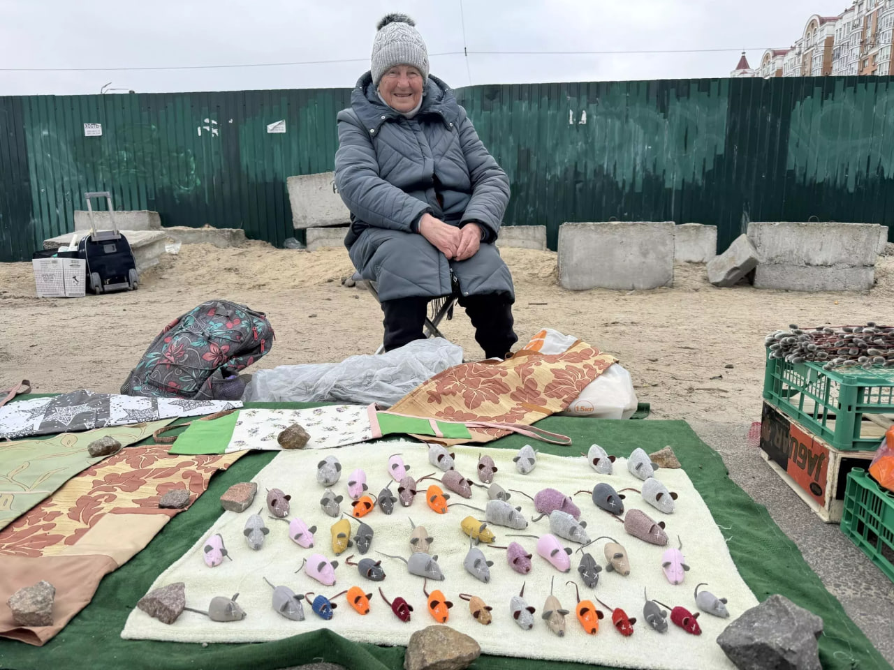 Миколаївська пенсіонерка започаткувала власну справу в столиці: шиє іграшкових мишенят і допомагає тваринам