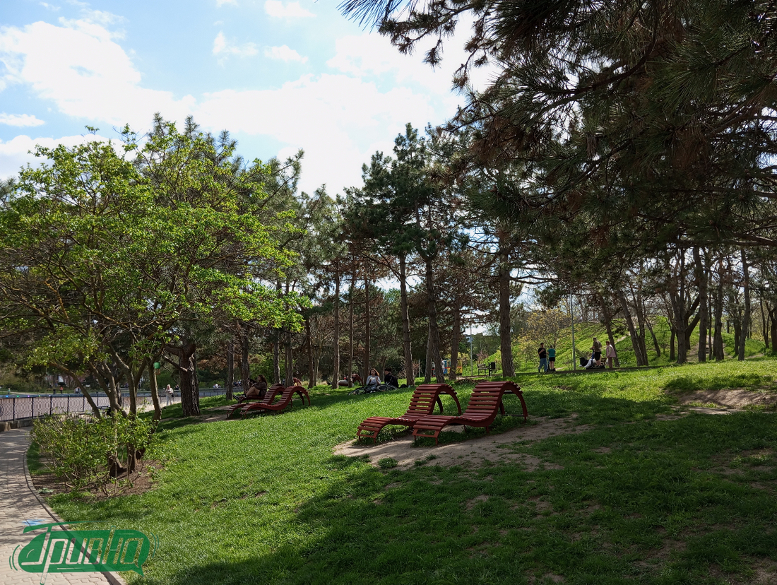 Зелений острівець серед багатоповерхівок: чим цікавий одеський дендропарк Перемоги (фото)