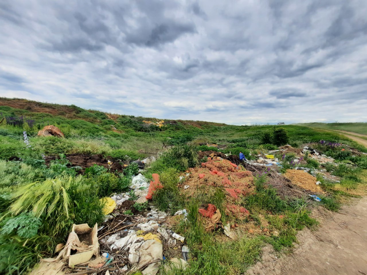 На узбережжі одного з лиманів Одещини екологи виявили стихійне сміттєзвалище
