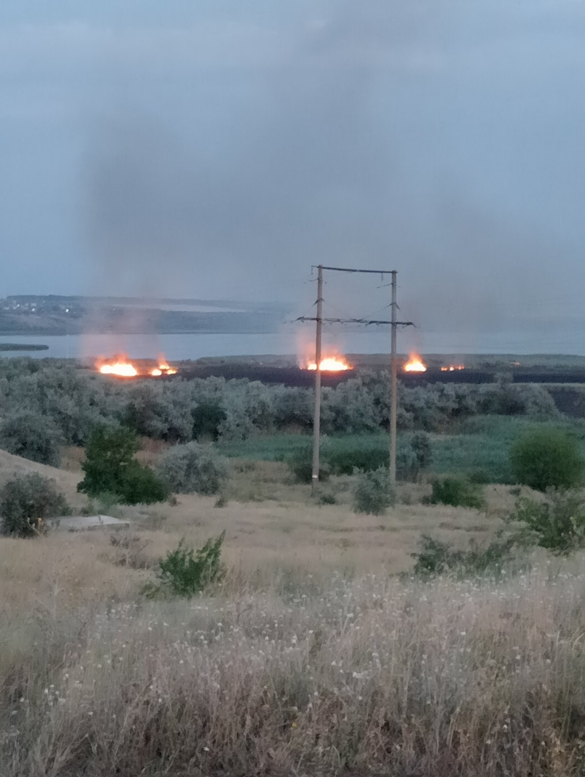 Дві масштабні пожежі за сезон: у Нижньодністровському нацпарку на Одещині розповіли, як відновлюється природа