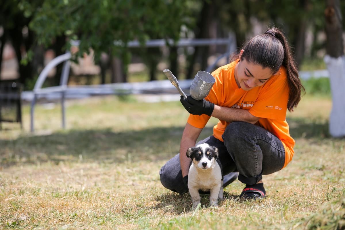 Pet-friendly: у громадах на Одещині та Миколаївщині обладнали спеціальні зони для дресирування та вигулу собак