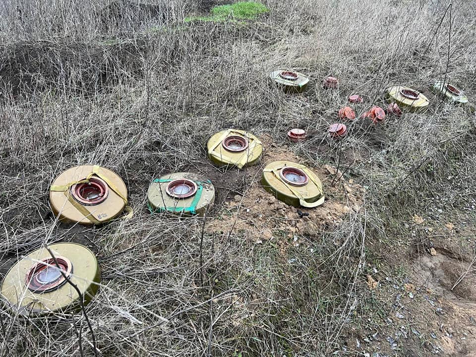 Розмінування «Кам’янської Січі»: 6 співробітників парку стали демінерами – скільки вже вдалося очистити