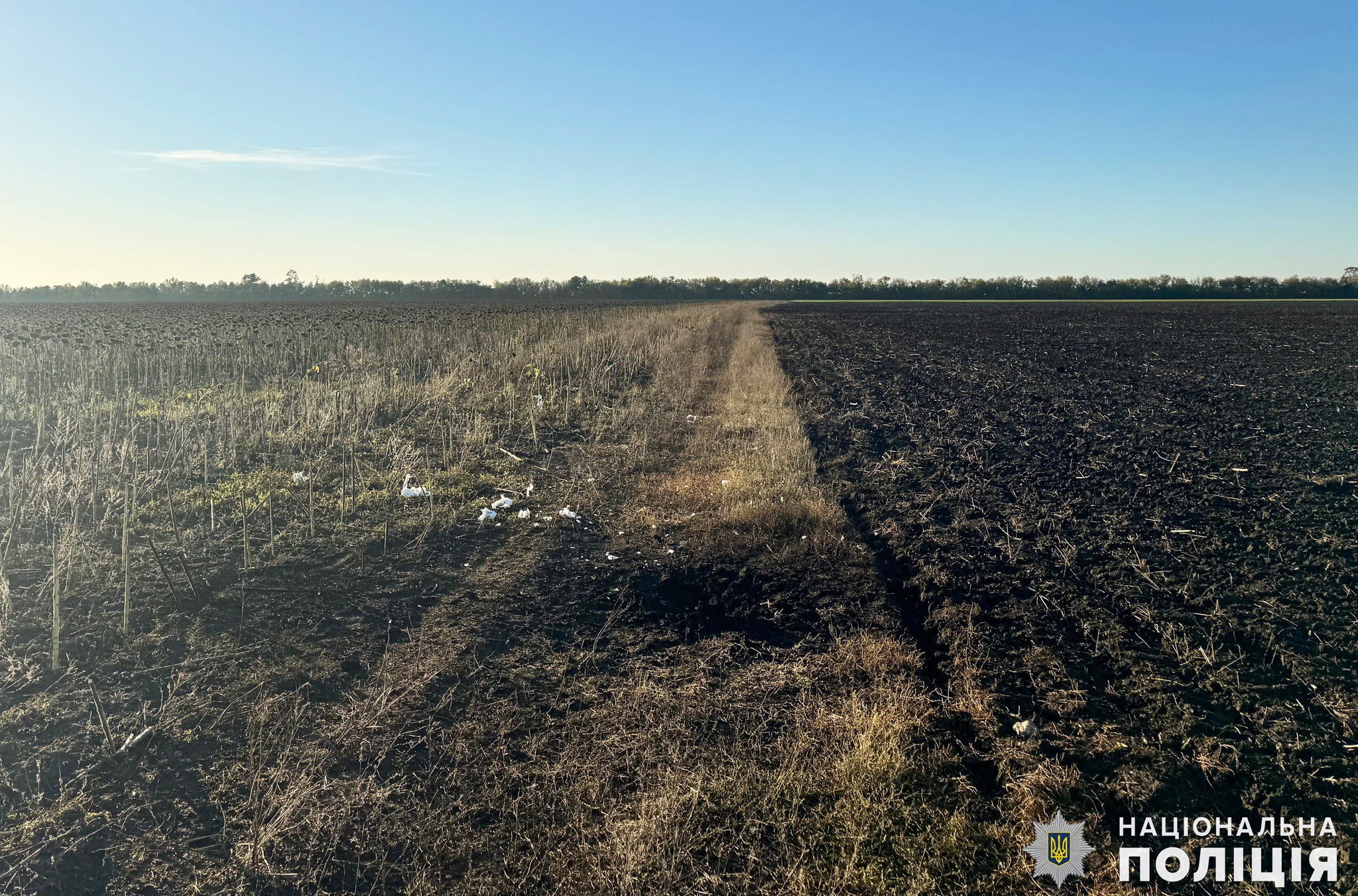 На Миколаївщині внаслідок детонації залишків ворожого БпЛА травмувалось 4 людей