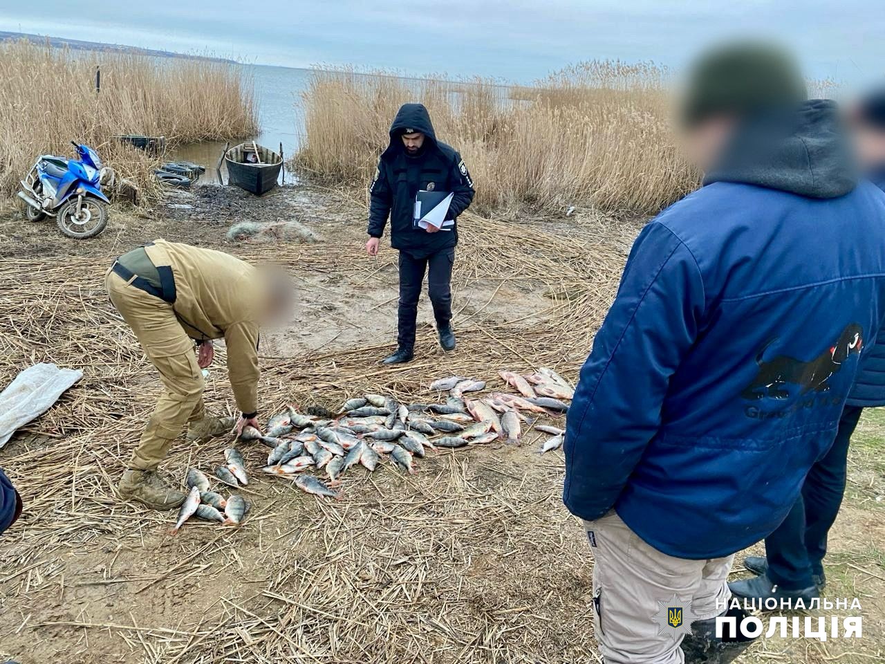 Нашкодили на пів мільйона: на Одещині затримали рибалок-браконьєрів