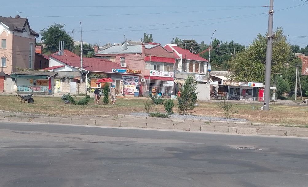 Чи потрібно саджати дерева: благоустрій Херсона та Миколаєва – не на часі?