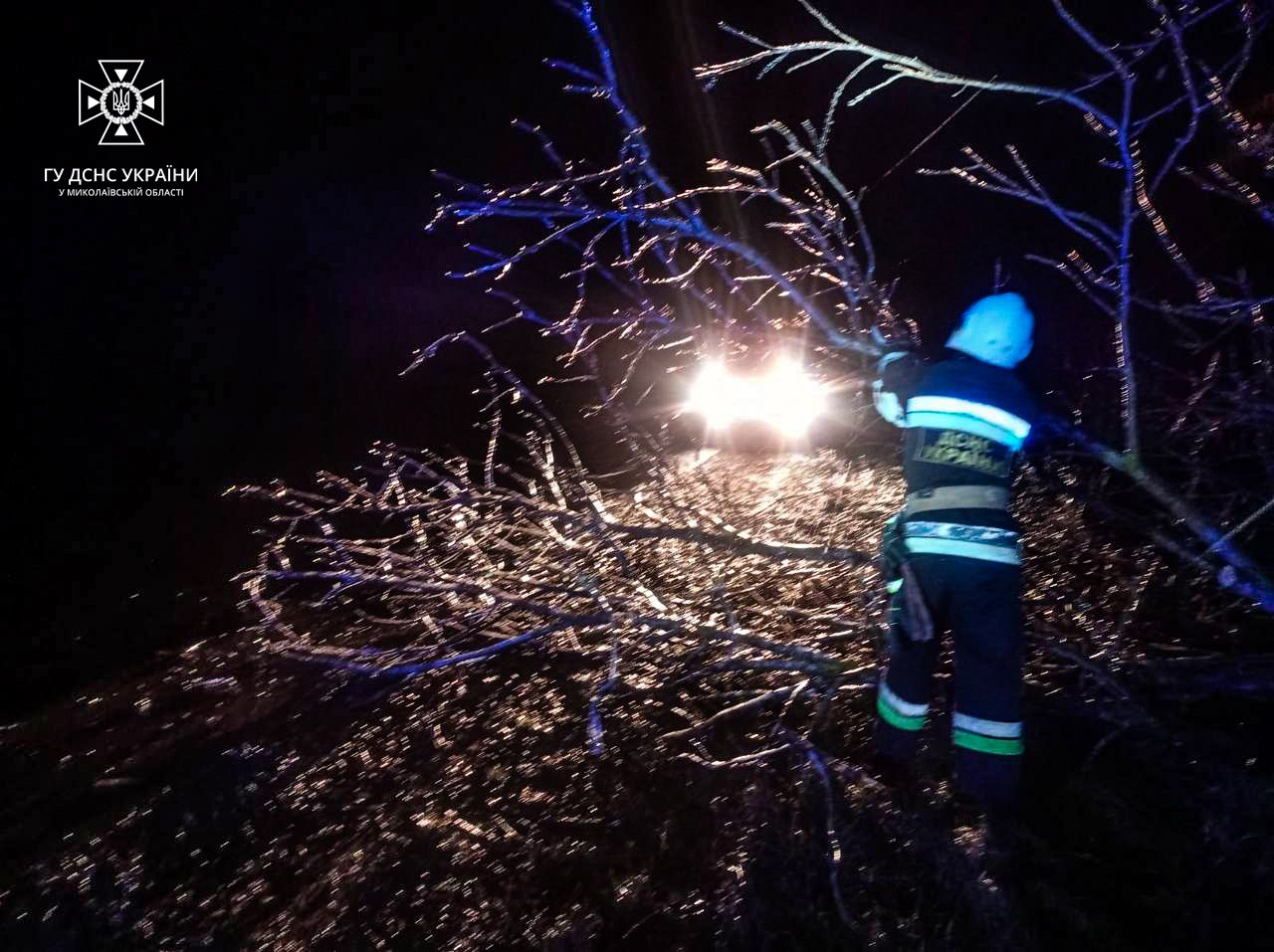 На Миколаївщині вирує негода – падають дерева, утворюється ожеледиця