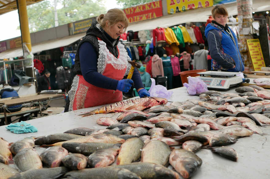 «Не рекомендую їсти морепродукти й рибу, виловлені біля Одеси» - науковець про наслідки підриву Каховської ГЕС