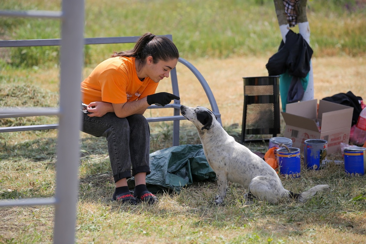 Pet-friendly: у громадах на Одещині та Миколаївщині обладнали спеціальні зони для дресирування та вигулу собак