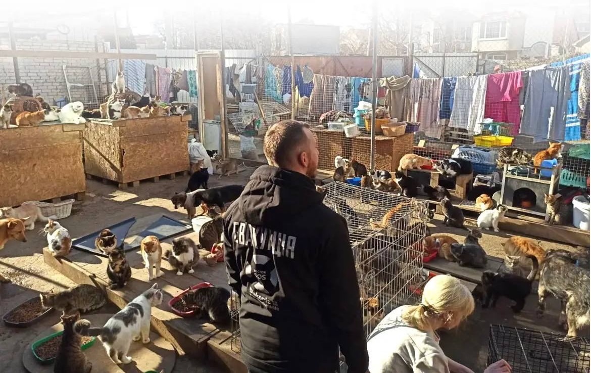 Виїхали з пекла: на Херсонщині з-під обстрілів вивезли понад 30 тварин (фото)