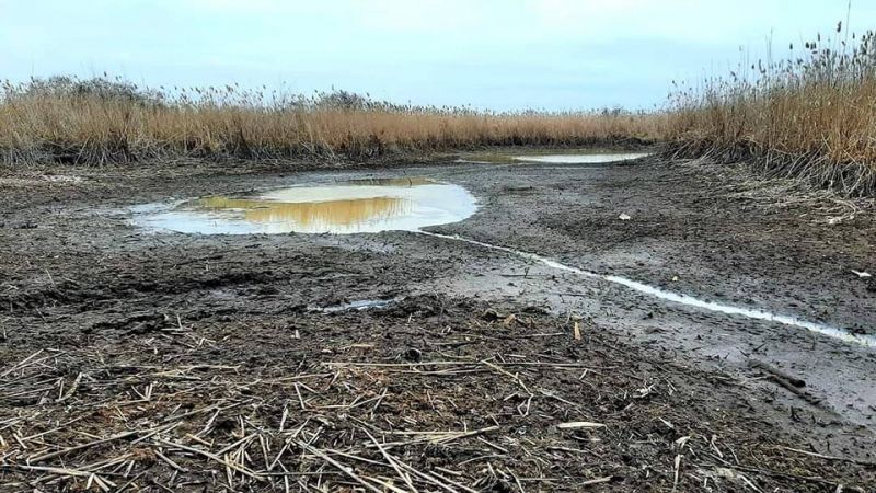 «Можливі катастрофічні екологічні наслідки». У дніпровських плавнях рівень води впав майже на 2 метри