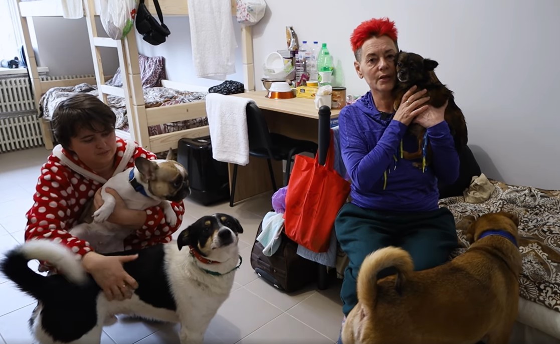 «Ми не могли покинути тварин»: історія херсонки, яка перевезла до Тернополя своїх 5 собак та 2 котів