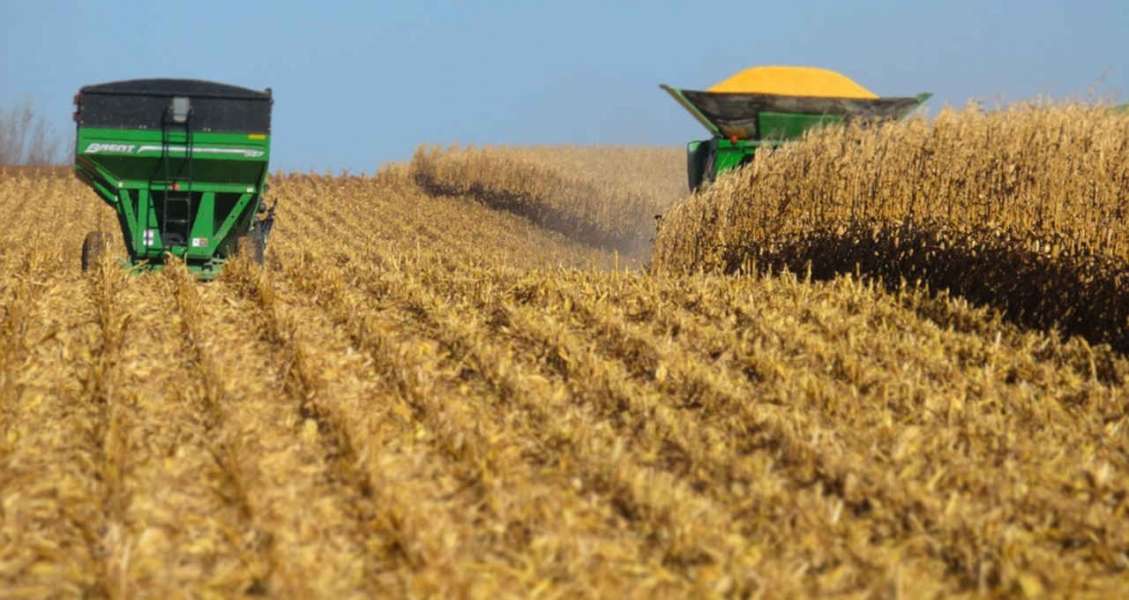 Завдяки розмінуванню аграріями полів на Херсонщині, урожай цьогоріч – на високому рівні