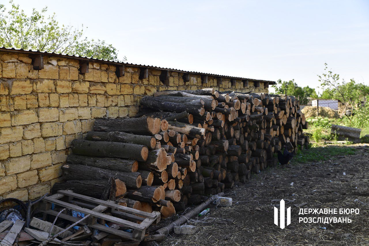 На Одещині у нацпарку «Куяльницький» вирубили понад 500 дубів, ясенів та акацій