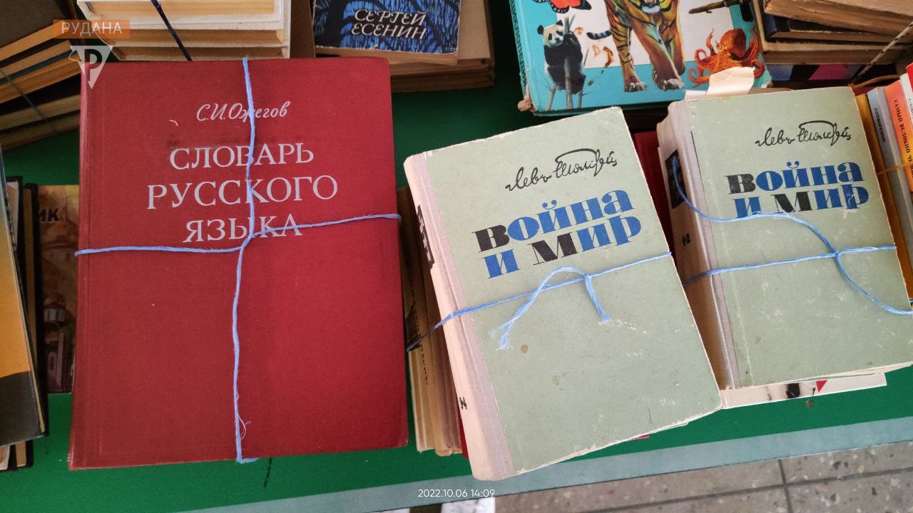 Асканійську, Стрілковську та Чаплинську бібліотеки ворог планує «модернізувати»