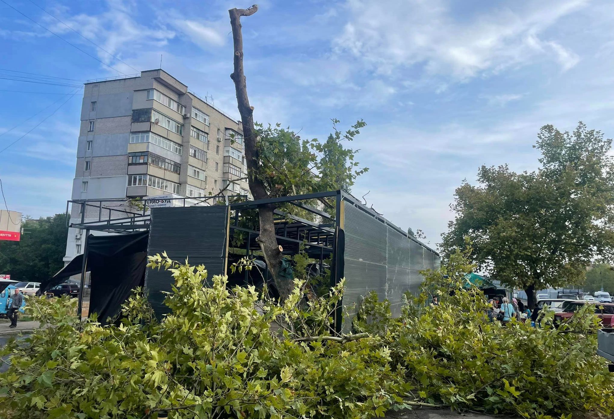 Вирубка дерев під будівництво в Миколаєві: влада заявила про незаконність, однак порушників це не зупинило