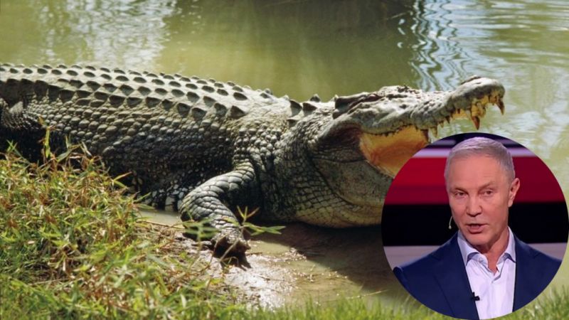 Історія з крокодилами в Олешках, про знищення яких Сальдо заявив в ефірі росТВ
