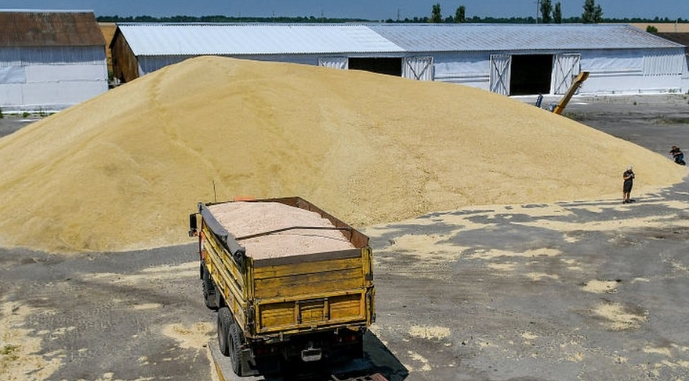 Росіяни вивезли з окупованих територій зерна на мільярд доларів