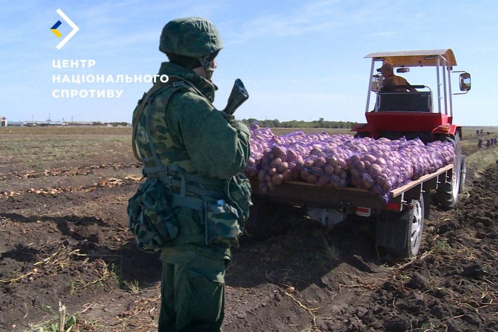 Не лише зерно: на ТОТ Херсонщини окупанти планують відбирати врожай овочів у місцевих фермерів