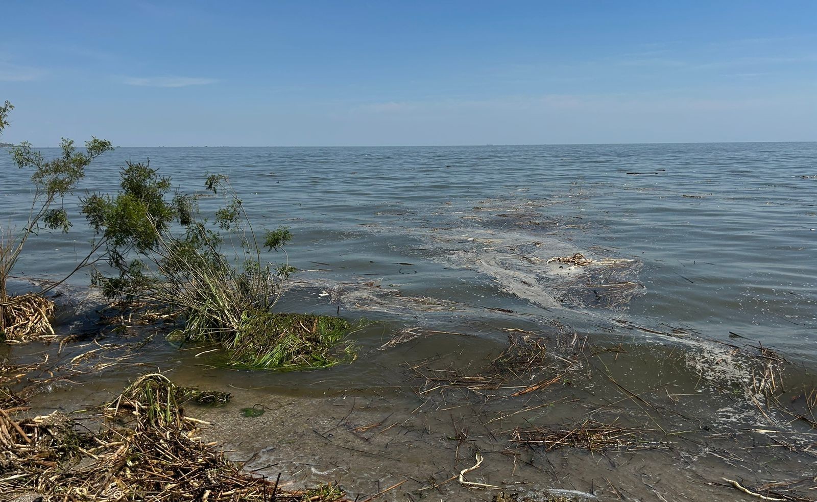 «Це вже трошки інше море»: одеський науковець – про те, як підрив Каховської ГЕС змінив Чорне море