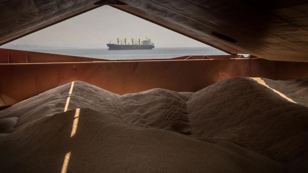 55 мільйонів тонн: через порти Великої Одеси транспортовано рекордну кількість вантажів 