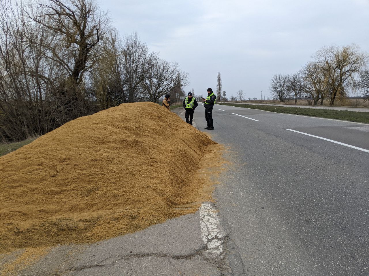 На Миколаївщині перевізник вивалив вміст фури просто на дорогу на очах інспекторів