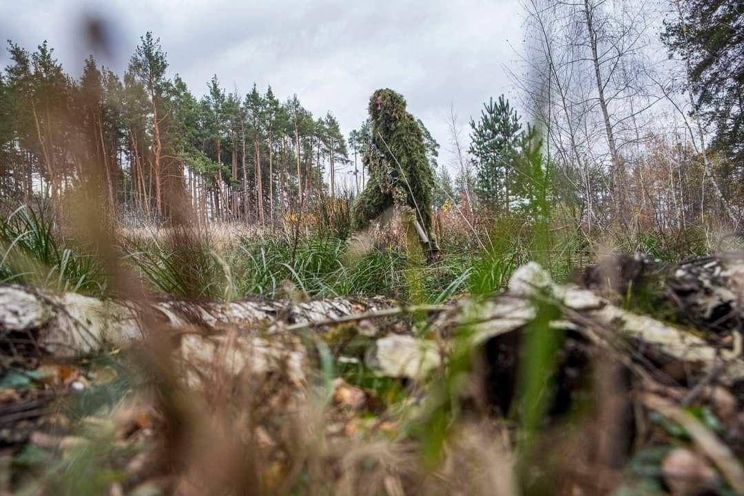 ЗСУ намагаються наступати в лісових масивах на лівобережжі Херсонщини, - ISW