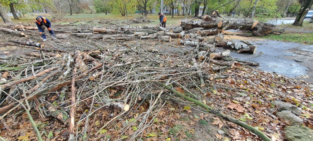 На півдні вирує негода: в Одесі та Херсоні – деревопад (фото)