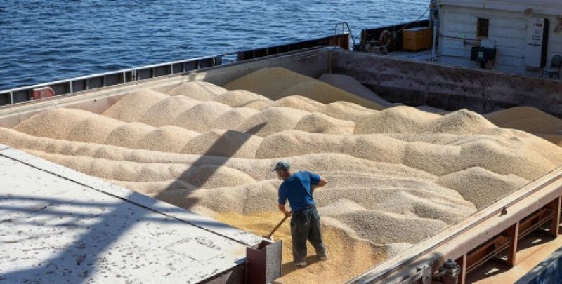 Експорт зерна з портів Одещини: скільки може заробити Україна та чому зернотрейдери сумніваються в успіху кампанії