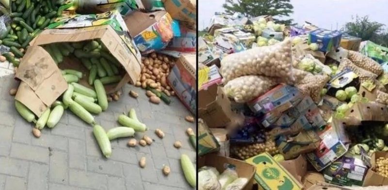 Фермери півдня України змушені викидати врожай, натомість наші крадені овочі продають уже в Білорусі 