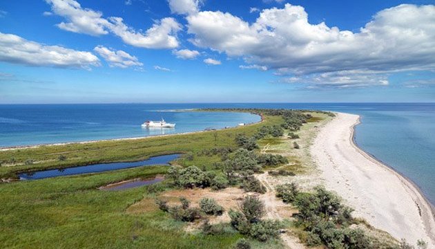 Загарбники знищили всю рослинність на острові Джарилгач - експерт