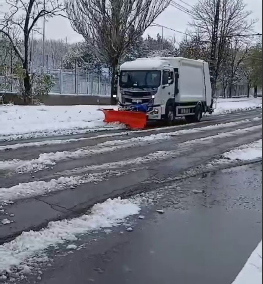 У Херсоні буревій повалив кілька дерев та вкрив шаром снігу місто