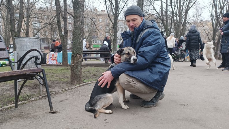 У Миколаєві майже два десятка тварин-безхатьків стали домашніми улюбленцями